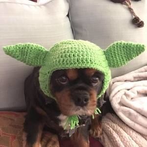 Meet your Posher, Marla